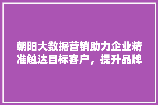 朝阳大数据营销助力企业精准触达目标客户，提升品牌影响力  第1张