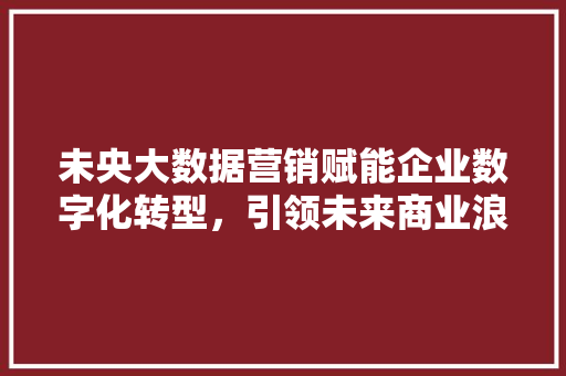 未央大数据营销赋能企业数字化转型，引领未来商业浪潮