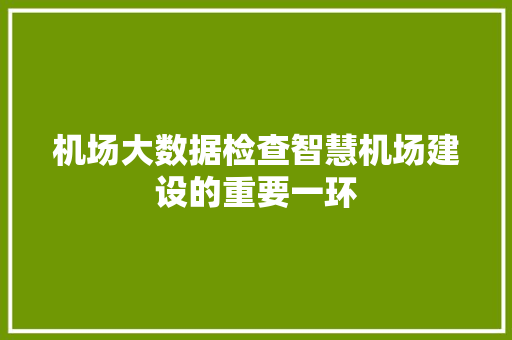 机场大数据检查智慧机场建设的重要一环