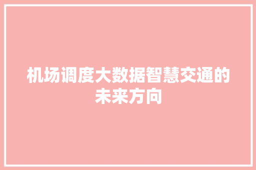 机场调度大数据智慧交通的未来方向