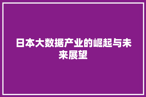 日本大数据产业的崛起与未来展望  第1张