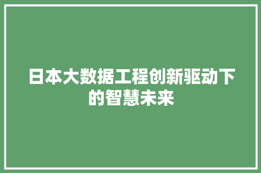 日本大数据工程创新驱动下的智慧未来  第1张