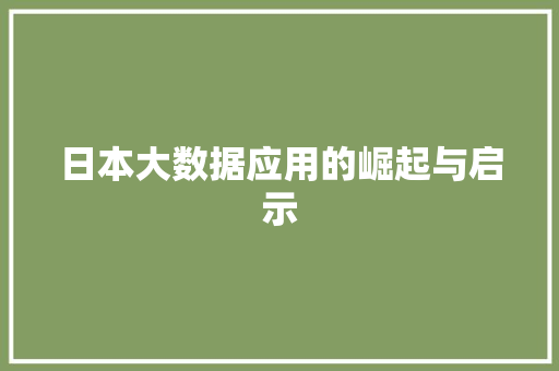 日本大数据应用的崛起与启示  第1张
