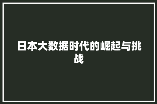 日本大数据时代的崛起与挑战  第1张