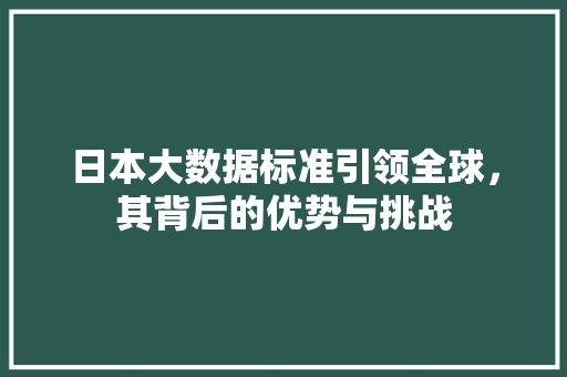 日本大数据标准引领全球，其背后的优势与挑战  第1张