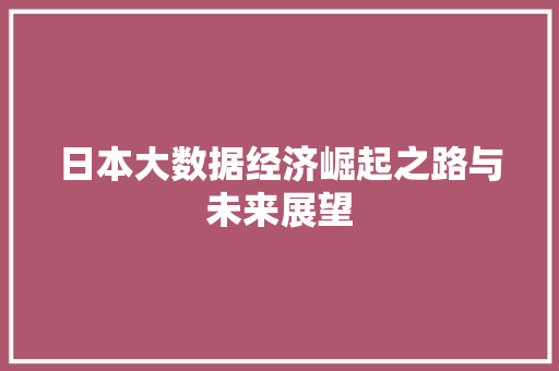 日本大数据经济崛起之路与未来展望  第1张