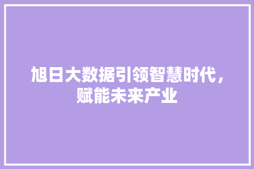 旭日大数据引领智慧时代，赋能未来产业  第1张