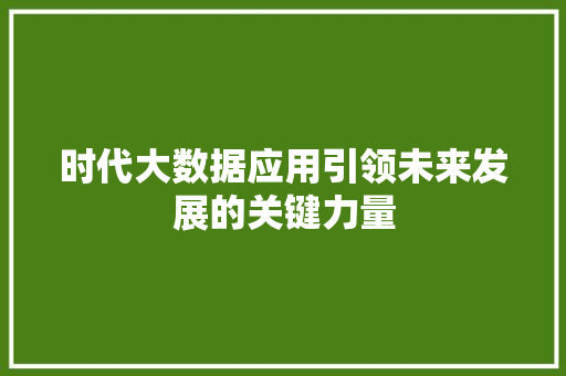 时代大数据应用引领未来发展的关键力量  第1张