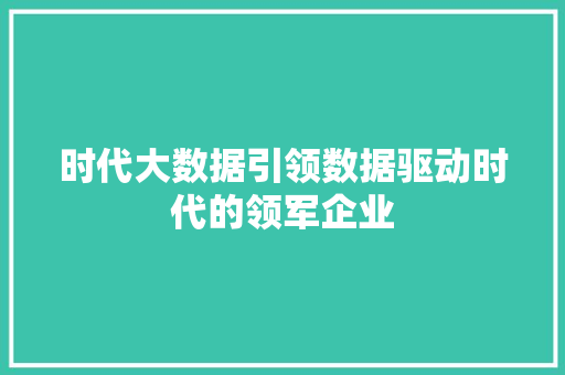 时代大数据引领数据驱动时代的领军企业  第1张