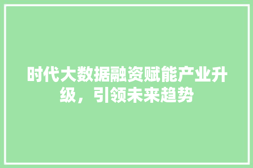 时代大数据融资赋能产业升级，引领未来趋势  第1张