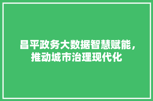 昌平政务大数据智慧赋能，推动城市治理现代化  第1张