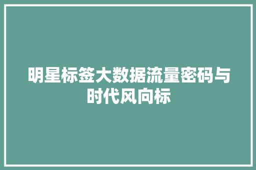 明星标签大数据流量密码与时代风向标  第1张