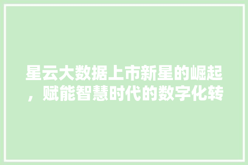 星云大数据上市新星的崛起，赋能智慧时代的数字化转型  第1张