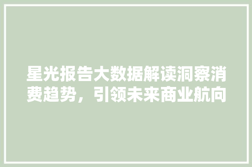 星光报告大数据解读洞察消费趋势，引领未来商业航向