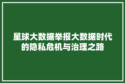 星球大数据举报大数据时代的隐私危机与治理之路  第1张