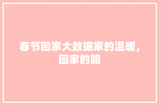 春节回家大数据家的温暖，回家的路