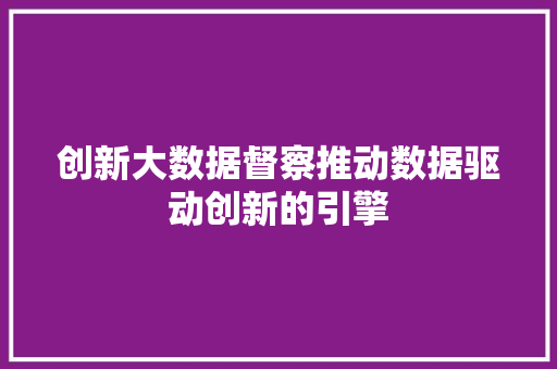 创新大数据督察推动数据驱动创新的引擎  第1张