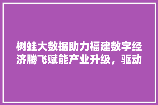 树蛙大数据助力福建数字经济腾飞赋能产业升级，驱动创新前行