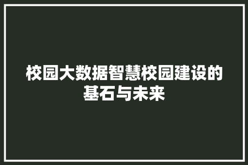 校园大数据智慧校园建设的基石与未来  第1张