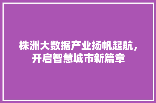 株洲大数据产业扬帆起航，开启智慧城市新篇章  第1张