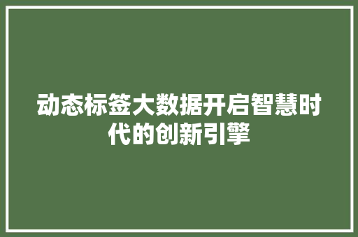 动态标签大数据开启智慧时代的创新引擎  第1张