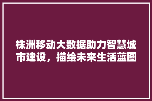 株洲移动大数据助力智慧城市建设，描绘未来生活蓝图