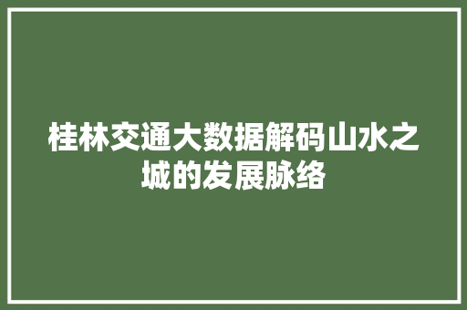 桂林交通大数据解码山水之城的发展脉络  第1张