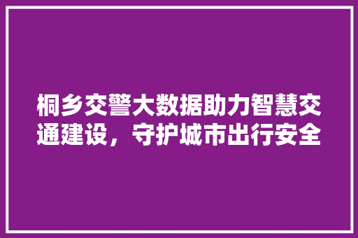 桐乡交警大数据助力智慧交通建设，守护城市出行安全  第1张