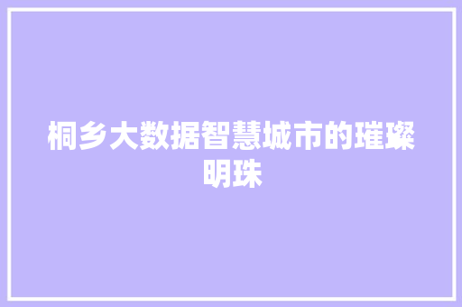 桐乡大数据智慧城市的璀璨明珠
