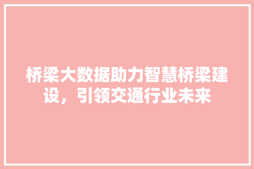桥梁大数据助力智慧桥梁建设，引领交通行业未来