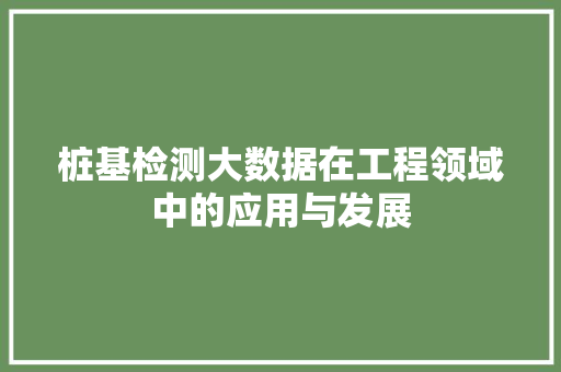 桩基检测大数据在工程领域中的应用与发展