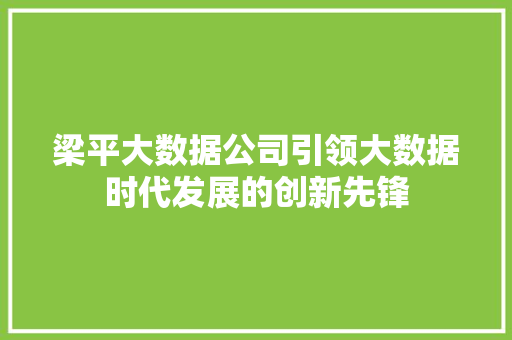 梁平大数据公司引领大数据时代发展的创新先锋