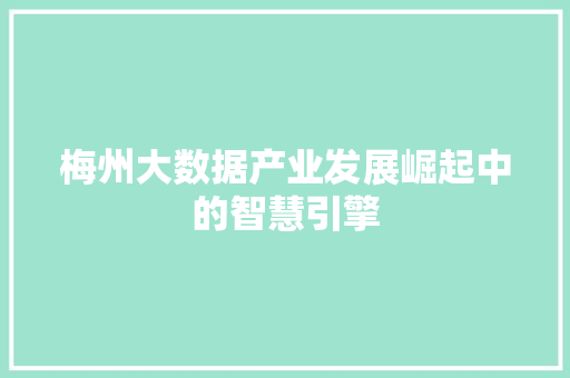 梅州大数据产业发展崛起中的智慧引擎