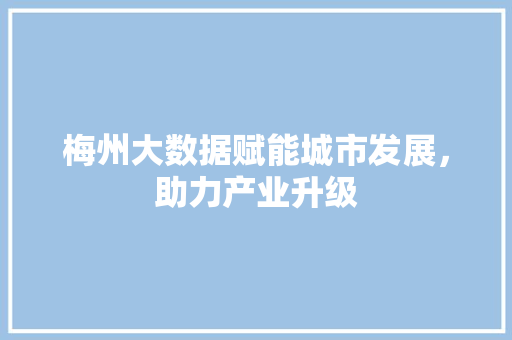 梅州大数据赋能城市发展，助力产业升级