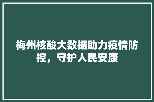 梅州核酸大数据助力疫情防控，守护人民安康  第1张