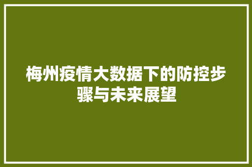 梅州疫情大数据下的防控步骤与未来展望  第1张