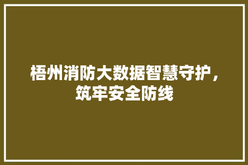 梧州消防大数据智慧守护，筑牢安全防线  第1张