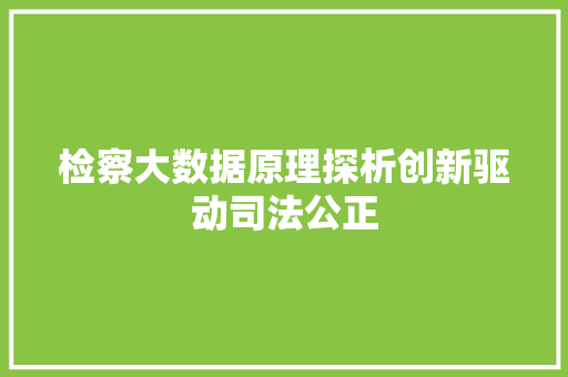 检察大数据原理探析创新驱动司法公正  第1张