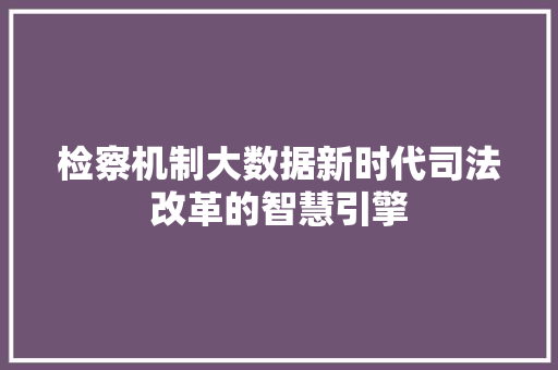 检察机制大数据新时代司法改革的智慧引擎