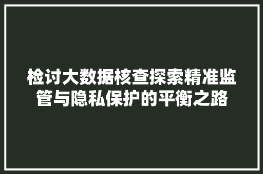 检讨大数据核查探索精准监管与隐私保护的平衡之路