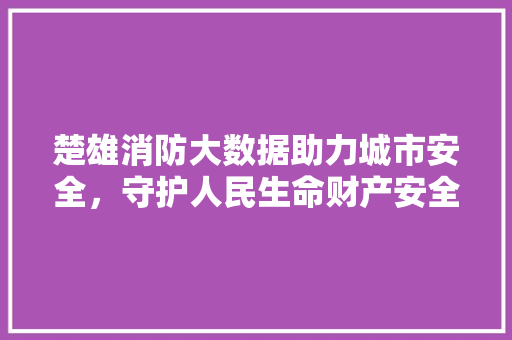 楚雄消防大数据助力城市安全，守护人民生命财产安全  第1张