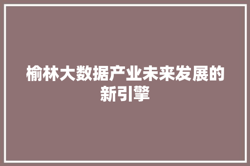 榆林大数据产业未来发展的新引擎  第1张