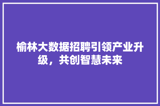 榆林大数据招聘引领产业升级，共创智慧未来  第1张