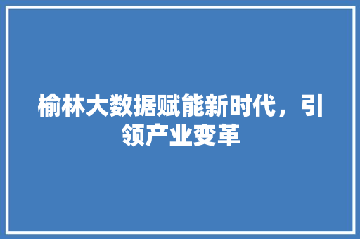 榆林大数据赋能新时代，引领产业变革
