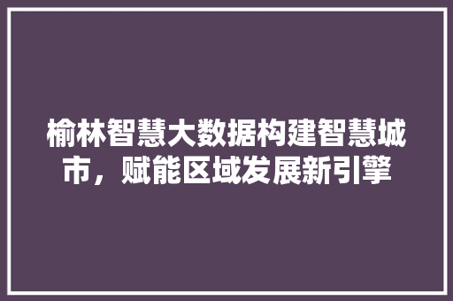 榆林智慧大数据构建智慧城市，赋能区域发展新引擎