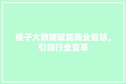 橙子大数据赋能商业智慧，引领行业变革