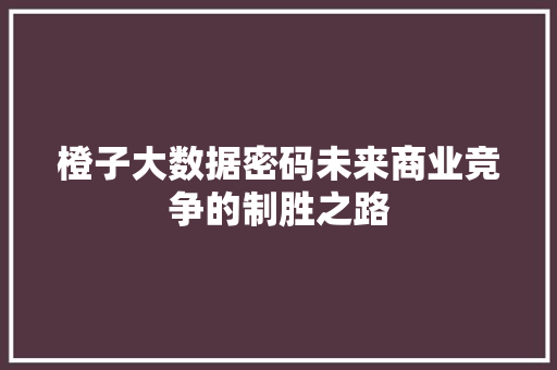 橙子大数据密码未来商业竞争的制胜之路
