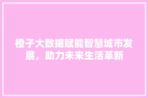 橙子大数据赋能智慧城市发展，助力未来生活革新