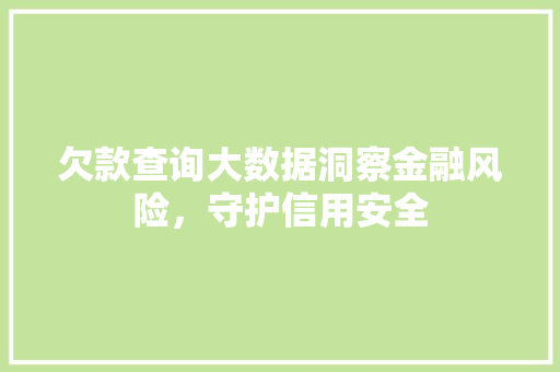 欠款查询大数据洞察金融风险，守护信用安全
