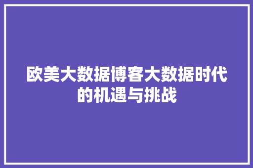 欧美大数据博客大数据时代的机遇与挑战  第1张